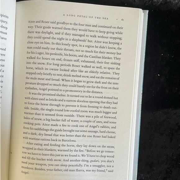 A Long Petal of the Sea by Isabel Allende | 2020 | Historical Romance - Picture 5 of 15